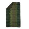 Winter Moss